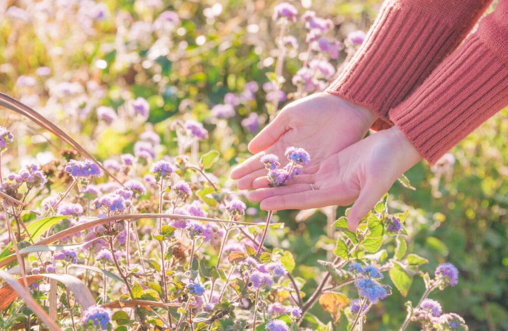 Slow living: cos’è davvero (e perché non è un lusso per pochi)