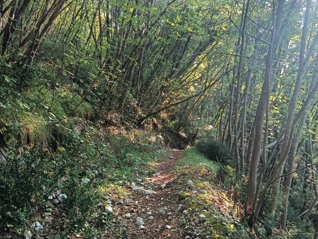 Chi saresti senza l’immagine che hai di te?