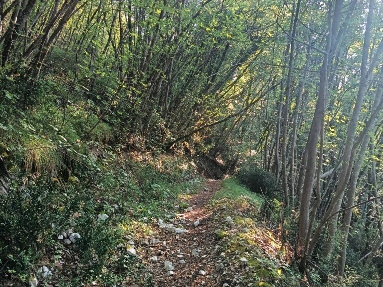 Chi saresti senza l’immagine che hai di te?